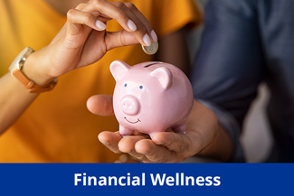 Financial-Wellness_Blue.png