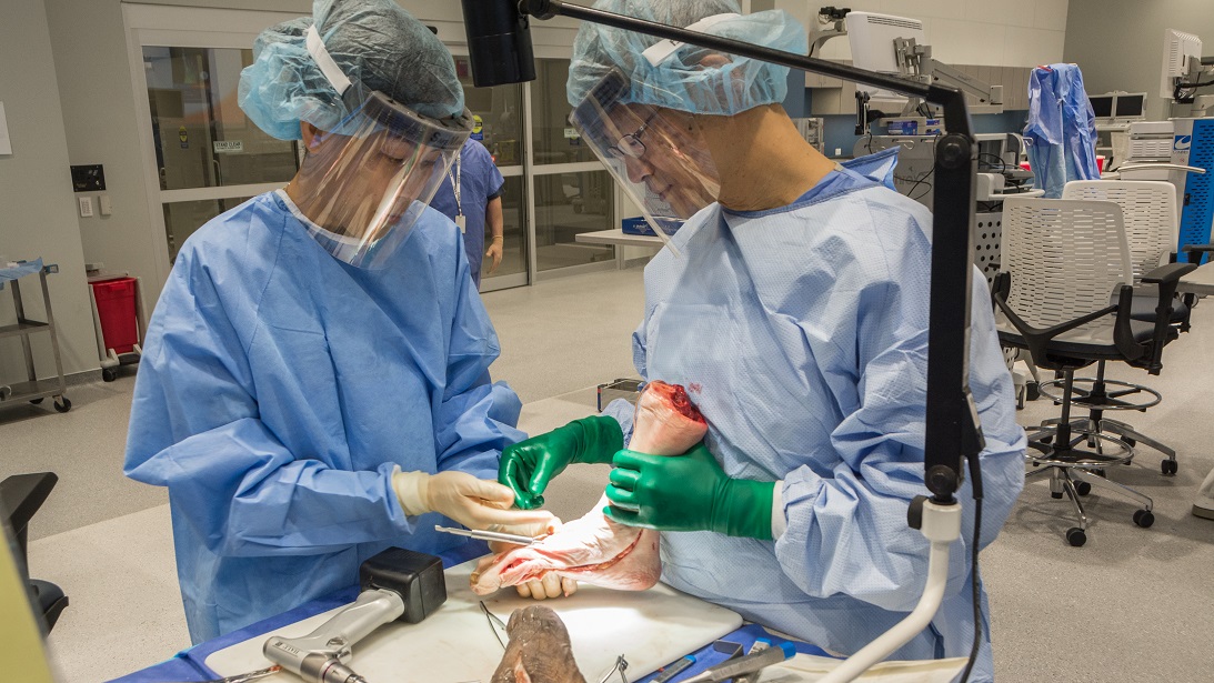 AAOS/AOFAS Foot and Ankle Surgical Skills American Academy of