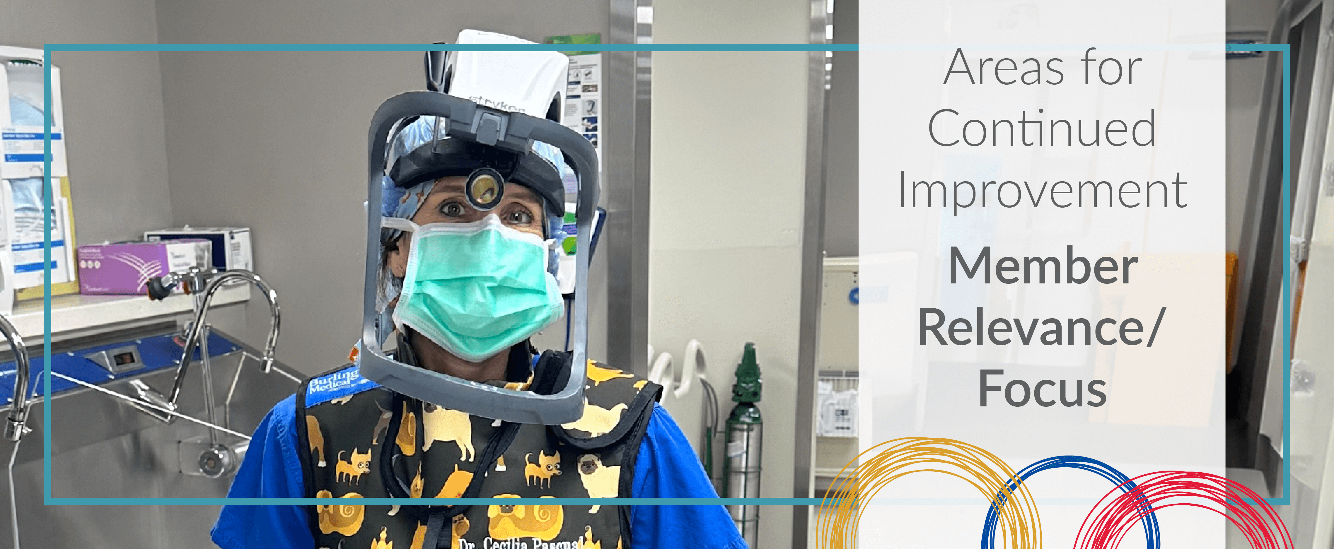 2025 MVAS_Header_Member.png